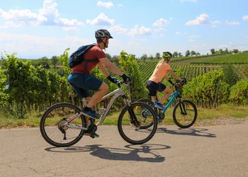 E-Bike-Reise Weingenuss-Radeln in der Wachau