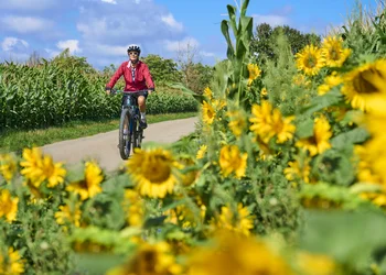 E-Bike-Tour Pillerseerunde in Tirol 