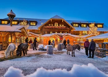 Fa. Wenatex mit Christkindlmarkt Salzburg und Gut Aiderbichl