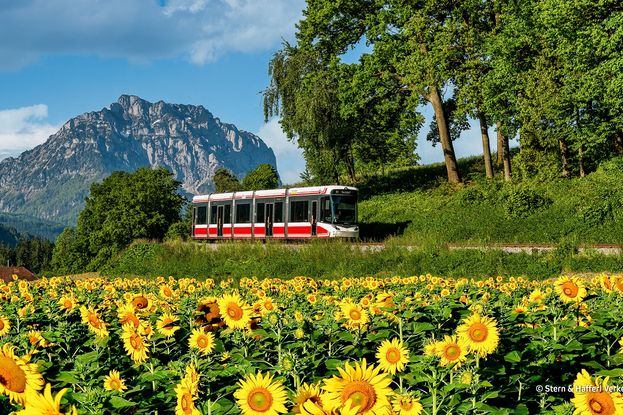 © Stern & Hafferl Verkehrsgesellschaft mbH