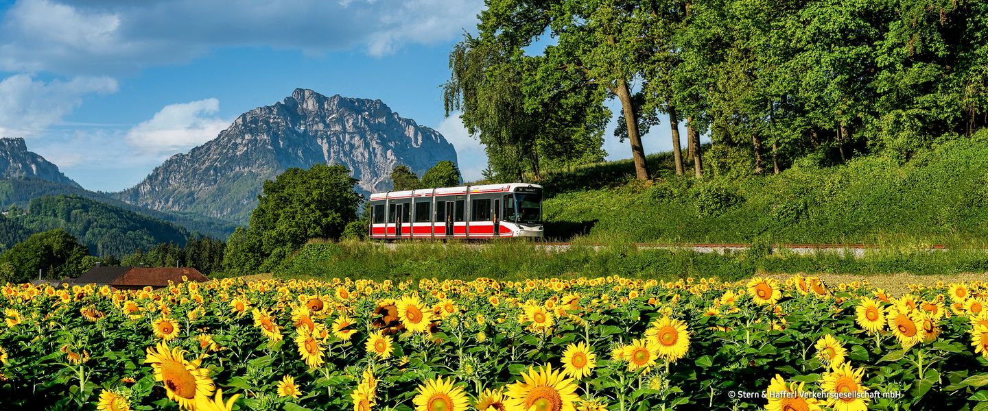 © Stern & Hafferl Verkehrsgesellschaft mbH